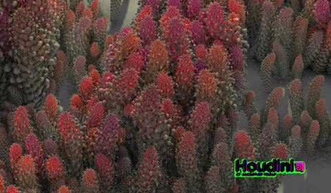 eco_system/shader_test.01.jpg