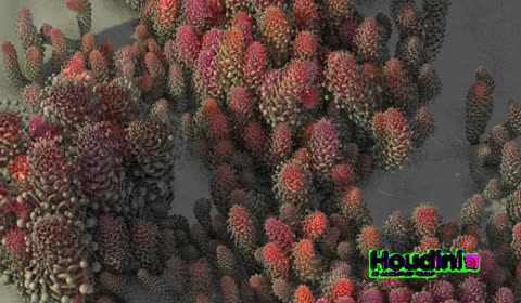 eco_system/shader_test.02.jpg