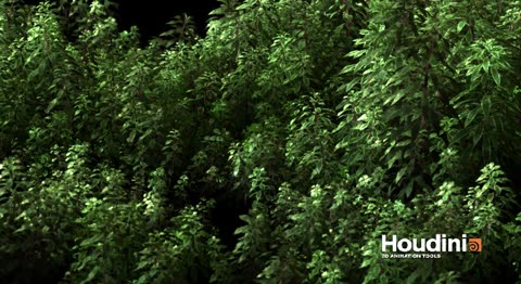 green.jpg