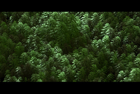 green_01.jpg