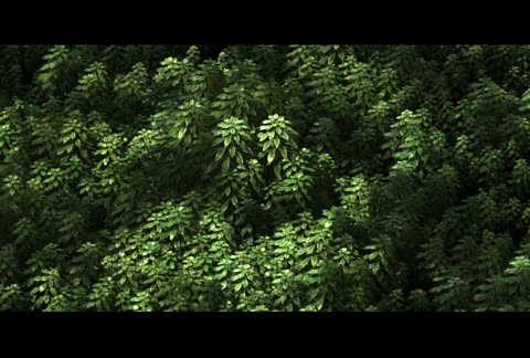 green_02.jpg